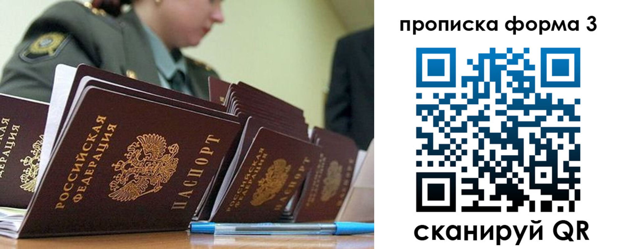 прописка 2025 в Александровске-Сахалинском